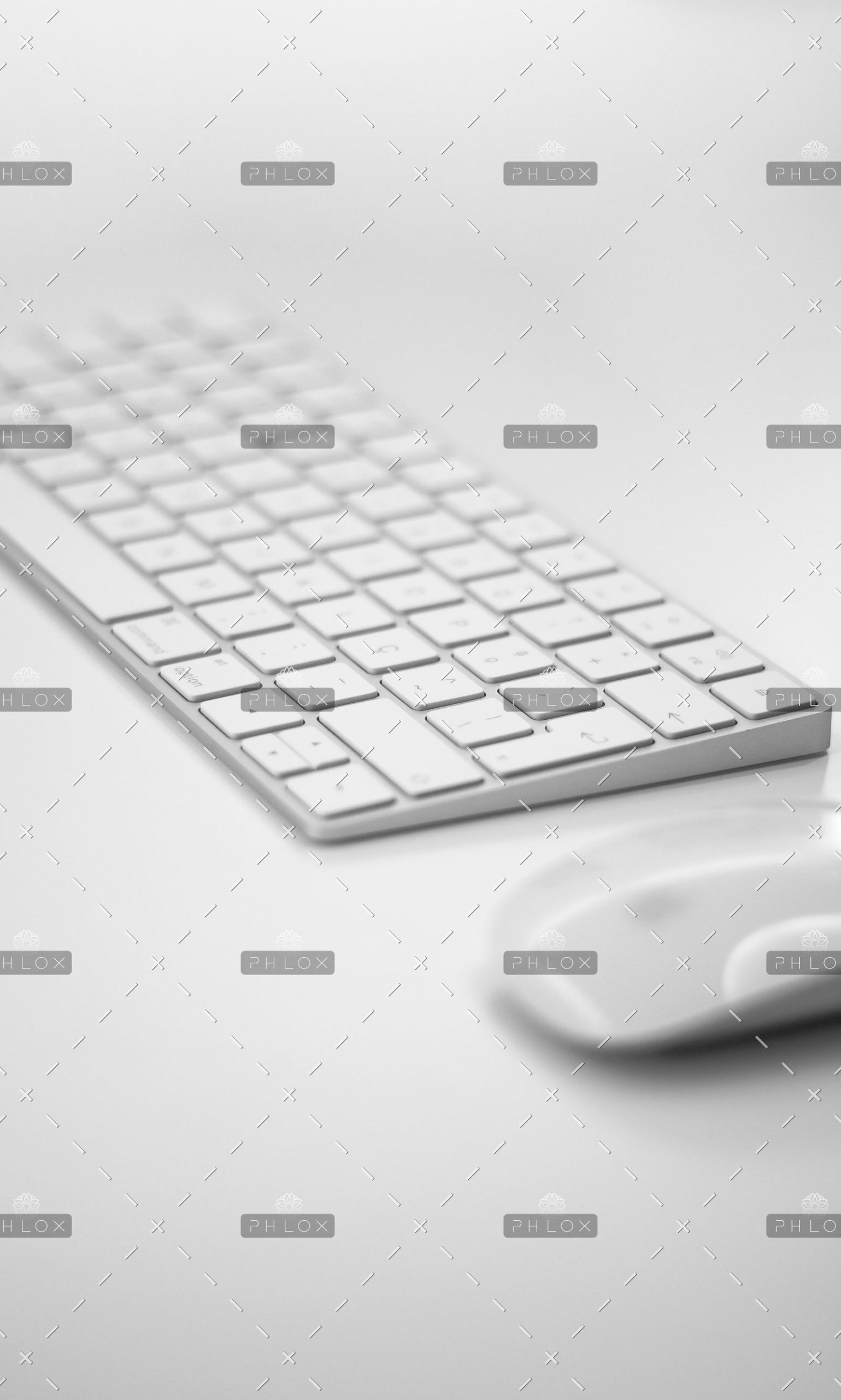 Read more about the article How to Automate Visual Regression Testing in WordPress